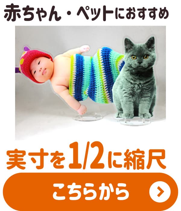 アクスタ 2分の1スケールモデル