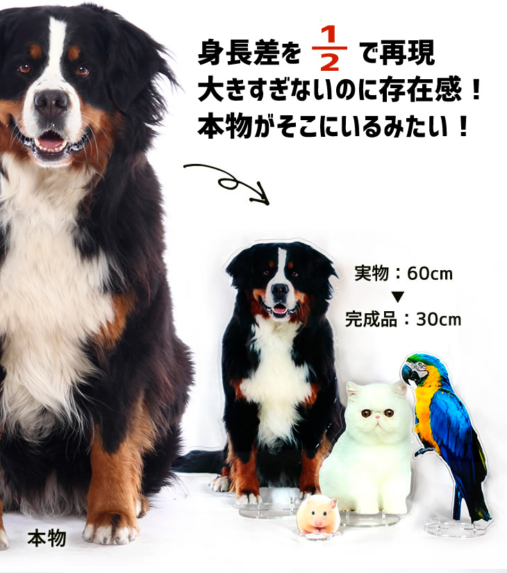 ジャニーズ アクスタ