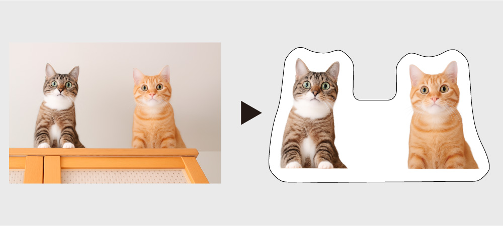 フリーカット 動物説明