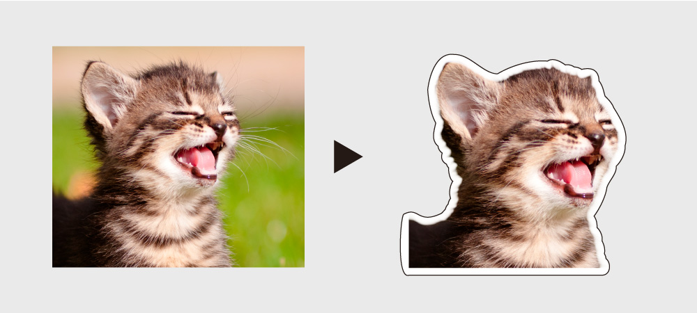 フリーカット 動物説明