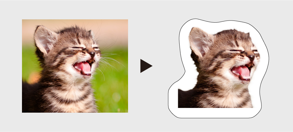 フリーカット 動物説明