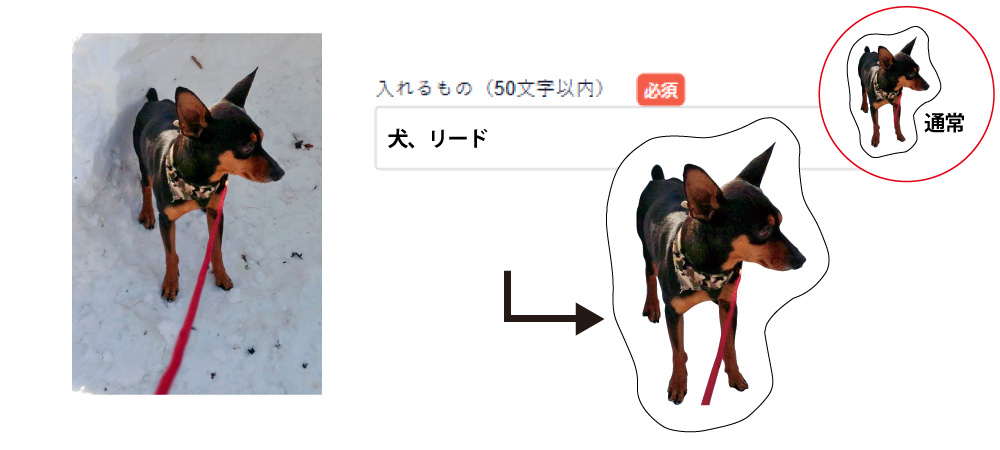 フリーカット 作成指示