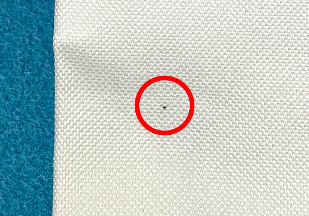 1mm以下の黒点