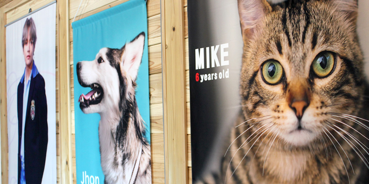 推し活 グッズ Web deco タペストリー｜応援うちわ専門店 本店 ファンクリ